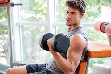 Sportsman doing exercises for biceps using dumbbells in jym