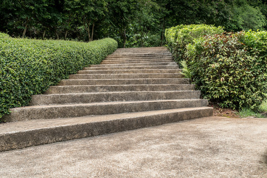 Concrete staircase with green plants