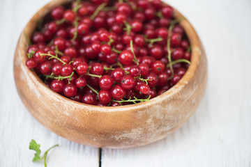 Fresh red currants