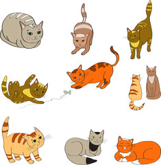 Illustration of a set with the image  colored cats. Vector