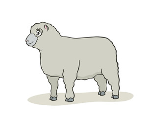 Cute sheep cartoon.