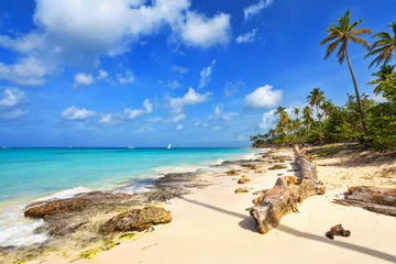 Fotobehang Tropical beach in Dominican Republic. © Vladimir Sazonov