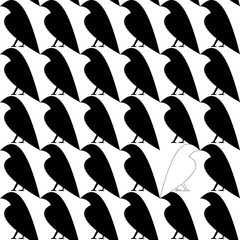 Seamless pattern with white crow among black crows. Dissimilar concept. Stylized simple contour shape of crow or raven. Outstanding concept endless background.