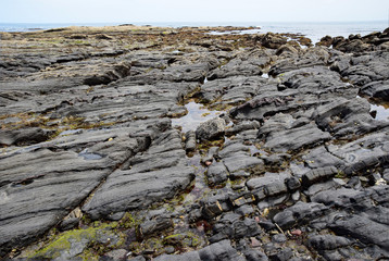 Gezeitenzone an der baskischen Küste