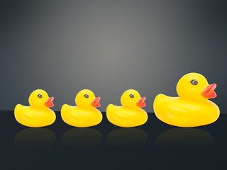 Ducks following the team leader - mentor concept