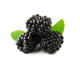 Blackberry with leaves isolated on white.