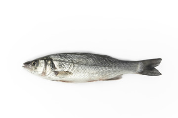 Fototapeta premium pesce