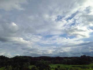 Obraz premium green field and sky