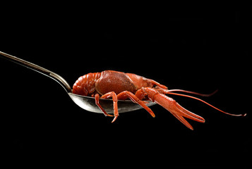 boiled crawfish in a spoon on a black background