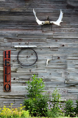 Old Barn Building Wall Antlers Sign for Hello and Green Growth