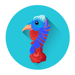 Turkey Head Bird Poultry Icon