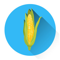 Corn Cob Vegetable Icon