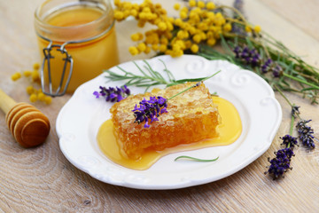 Bienenwabe Honig