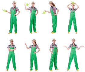 Fototapeta premium Collage of woman watering plants isolated on white