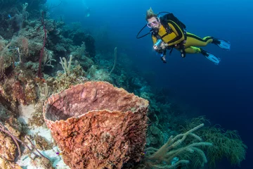 Afwasbaar Fotobehang Duiken Belize Scuba Diving