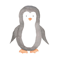 Penguin Cute animal Hand-painted Watercolor Illustration