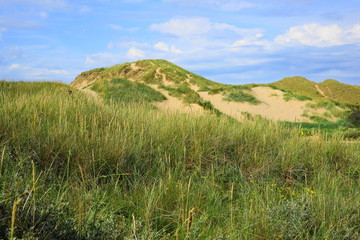 skagen