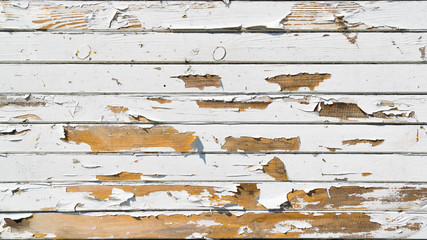 White painted wood