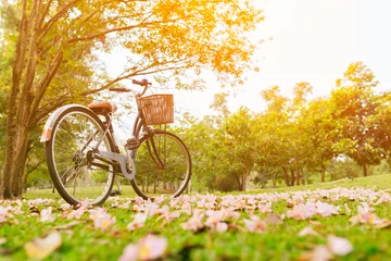 Cercles muraux Été Beau paysage de vélo vintage et de fleurs