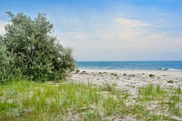 Panorama wild, sea beach in the National reserve island Dzharylgach.