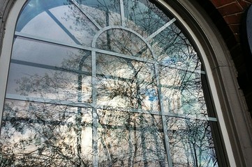 Cloudy sky and tree reflection in building window