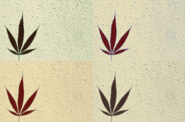 Four tiles of marijuana, which can be used as background for everything