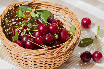 Cherry is one of the best diet products