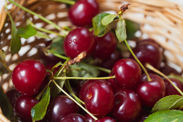 Cherry - joy for eyes and delight to mouths