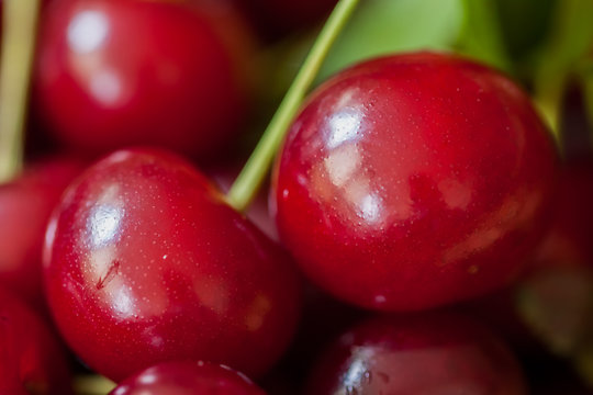 Red fresh cherries closeup