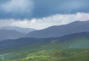 Summer forest on mountain slopes