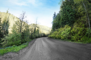 Fototapeta na wymiar Pathway in mountain forest