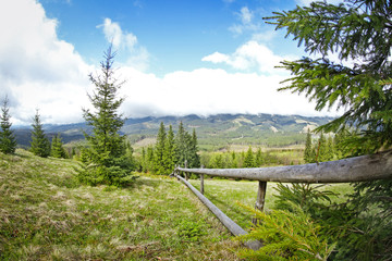 Fototapeta na wymiar Wooden fence on mountain forest background
