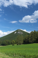 Obraz premium The Alps in area near Wiener Neustadt