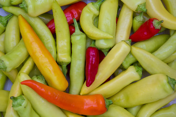 Red and green fresh pepper