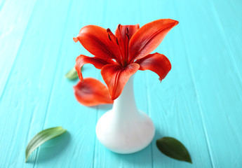 Beautiful lily on blue wooden background