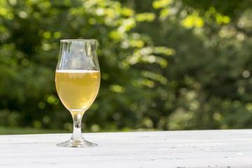 mug of beer on white table and green background