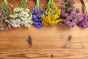 Herbs. Natural medicine.