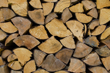 Bacground with logs