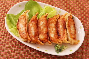 美味しそうな焼き餃子
