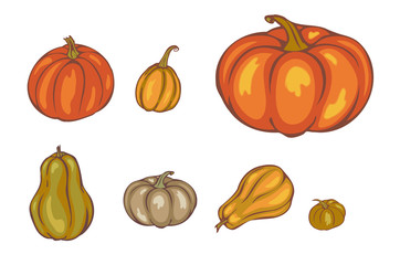 autumn pumpkin on white background