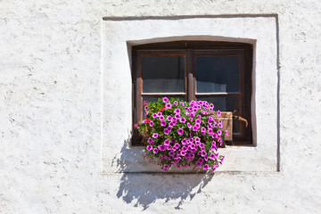 Window with colorful flowers on a white wall