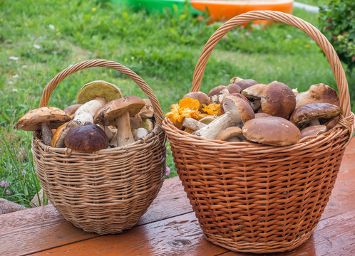 two baskets with forest mushrooms outdoors