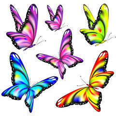 Obraz premium color butterflies,isolated on a white