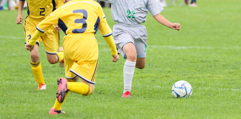 サッカー　フットボール