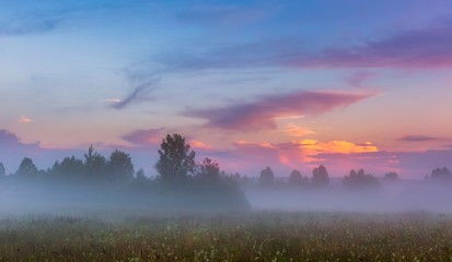 Wild foggy meadow landscape