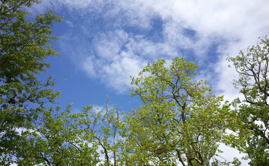 空