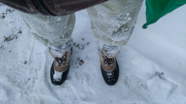Tiefschnee
