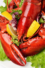 Lobster on white plate close up