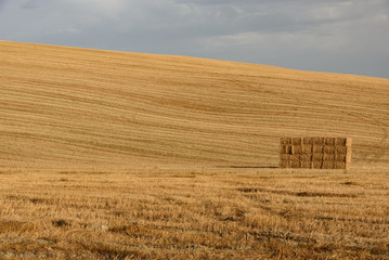 A hill in Val d'Orcia, Tuscany during summer