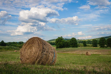 Freshly rolled hay bale in beautiful country landscape on sunny summer day